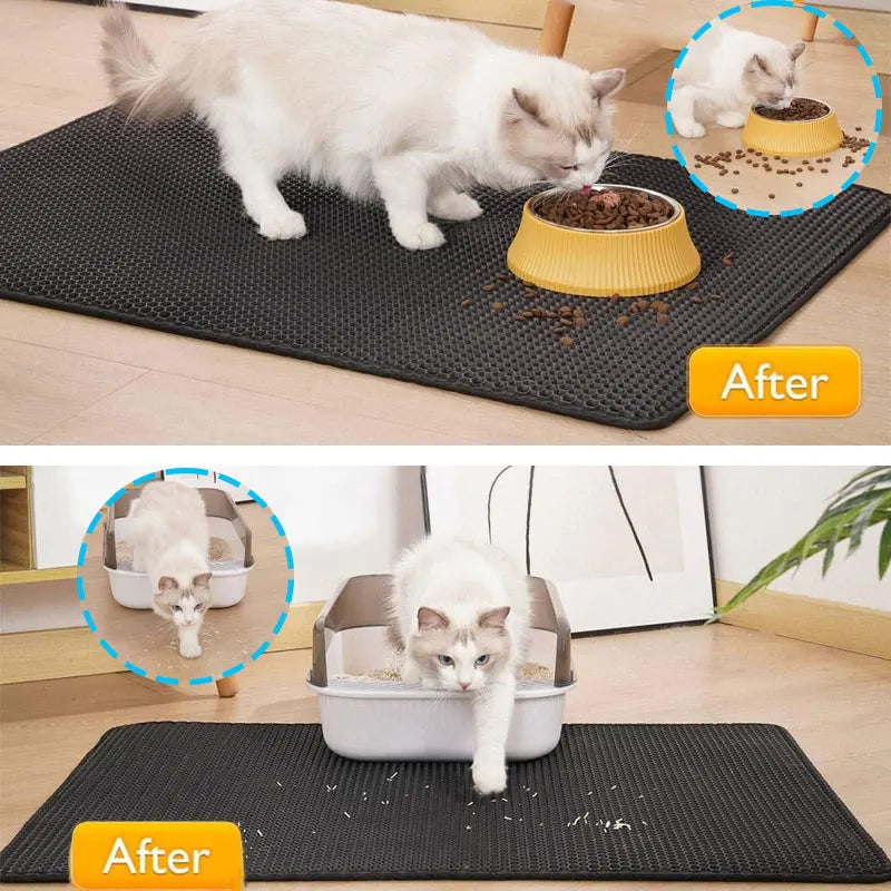 CleanKitty